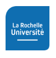 La Rochelle Universitè
