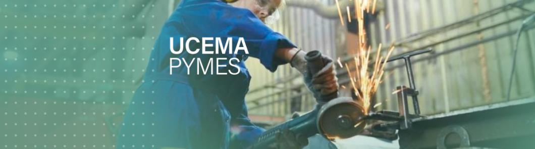 Informe PyMEs UCEMA